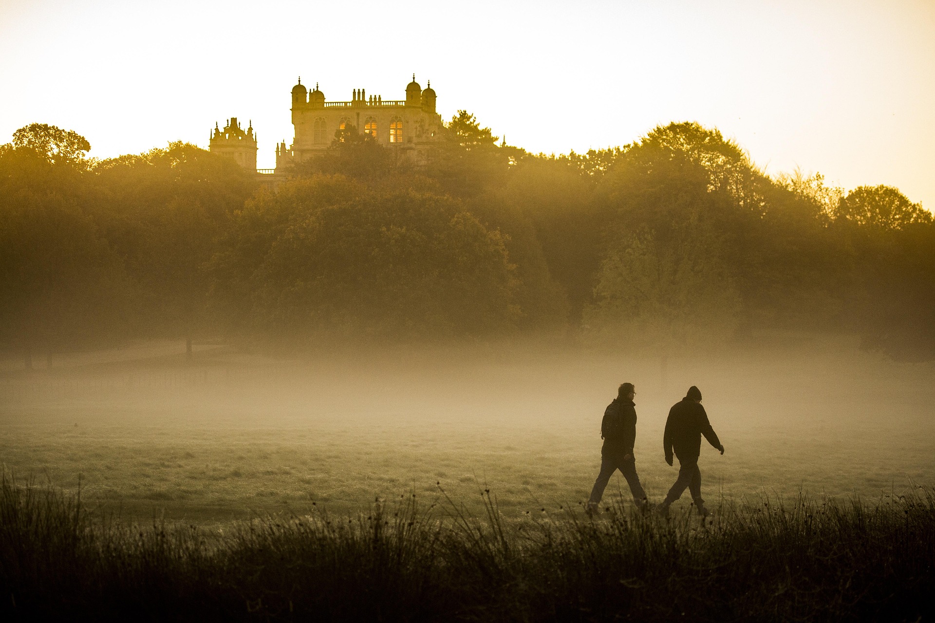 Walk before the world wakes — golden hour countryside path