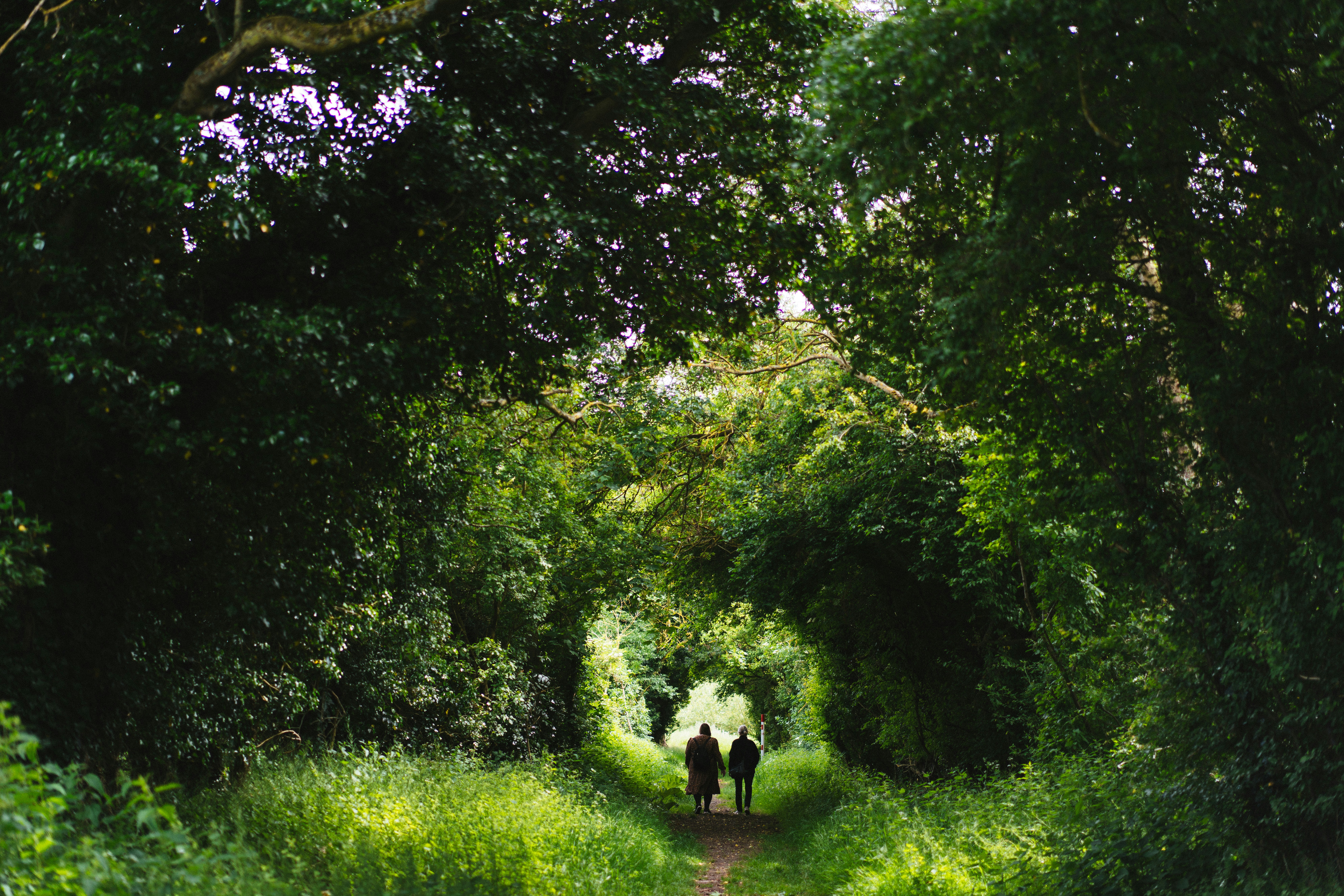 Beautiful British countryside walk